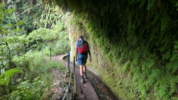 entlang der Levada do Rei