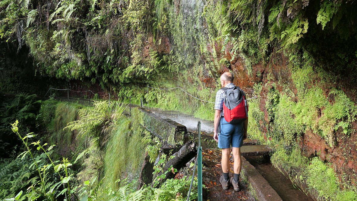 entlang der Levada do Rei