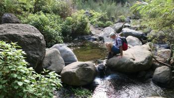 Bachüberquerung am Wendepunkt und Abstieg zur Levada do Moinho