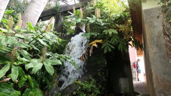 Levada-Wasserabgang