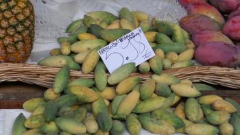 vor ein paar Tagen unterwegs gepflückt und hier auf dem Markt-Früchte der Bananen-Passionsblume