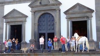 Funchal, was will das Pferd da vor der Kirche???