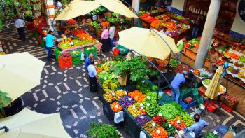 Funchal- Markt