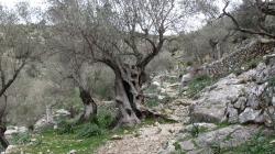 karges Land