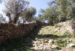 Wanderweg zwischen Port de Soller und Deia