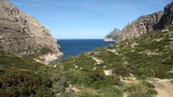 Boquer-Tal