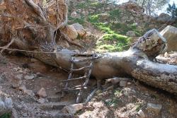 Erschwerte Bedingungen beim Wandern