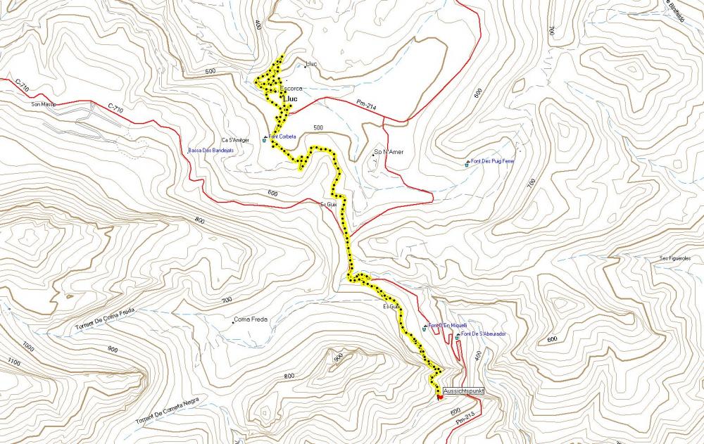 Track Lluc