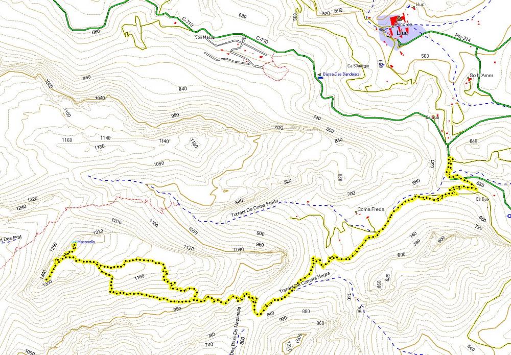 Track Massanella
