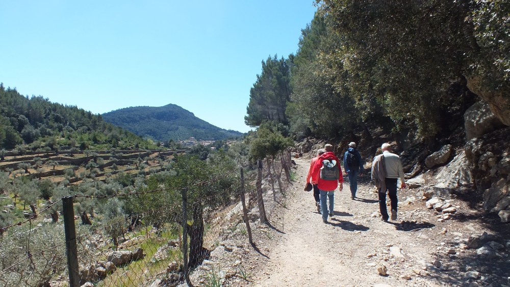 kurz vor Valldemossa