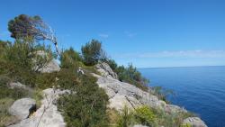 Wanderung zu einem Turm (mit Geocache)