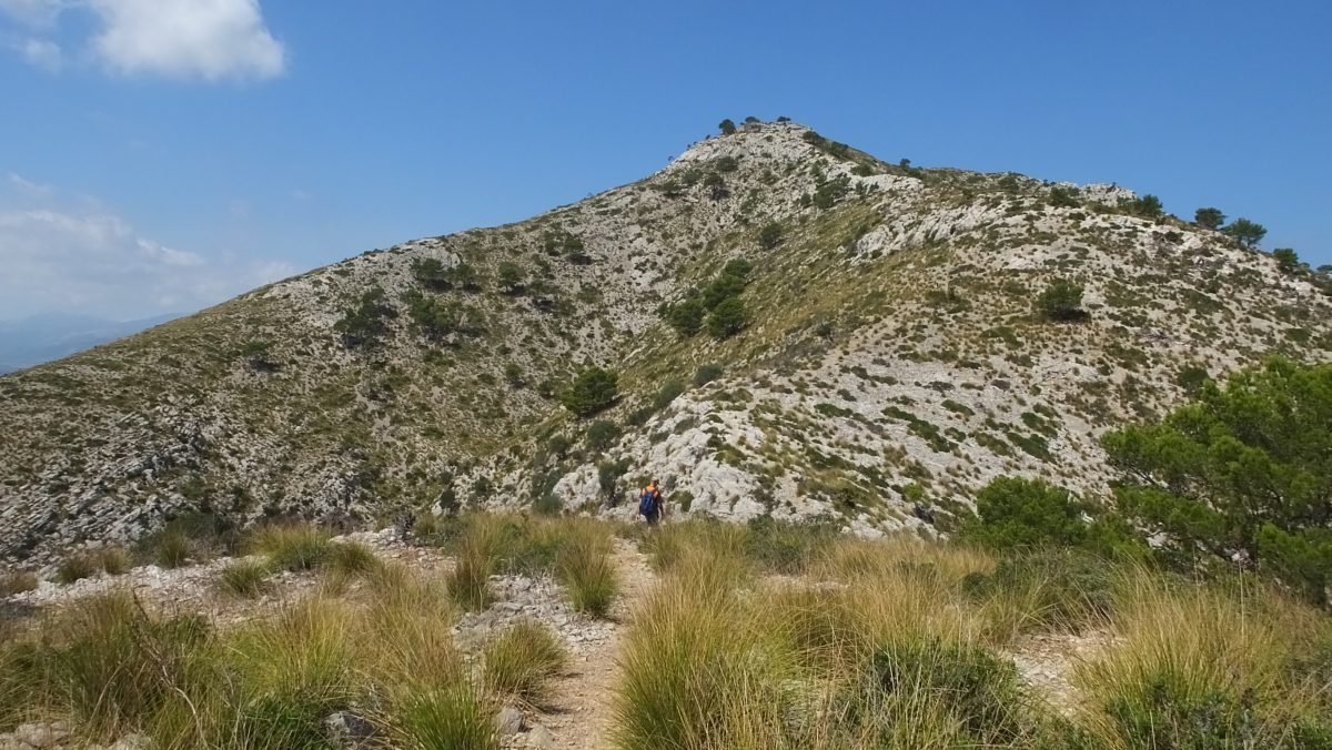 Talaia d'Alcudia, nur 445 Meter hoch