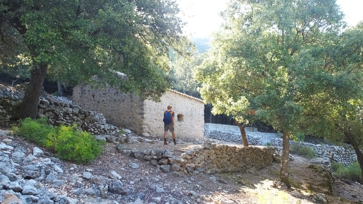 alte Kapelle im Wald