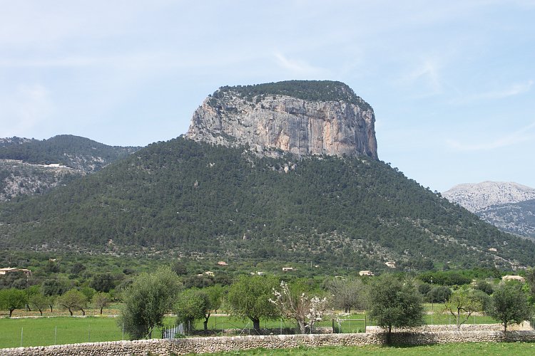 Castell de Alaro, da oben waren wir