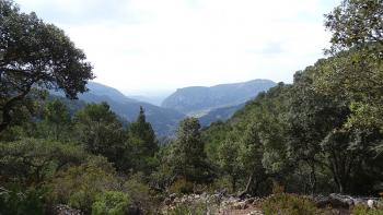 auf der Heimfahrt nach Sant Elm