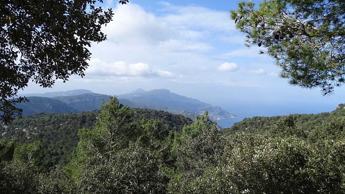 auf der Heimfahrt nach Sant Elm