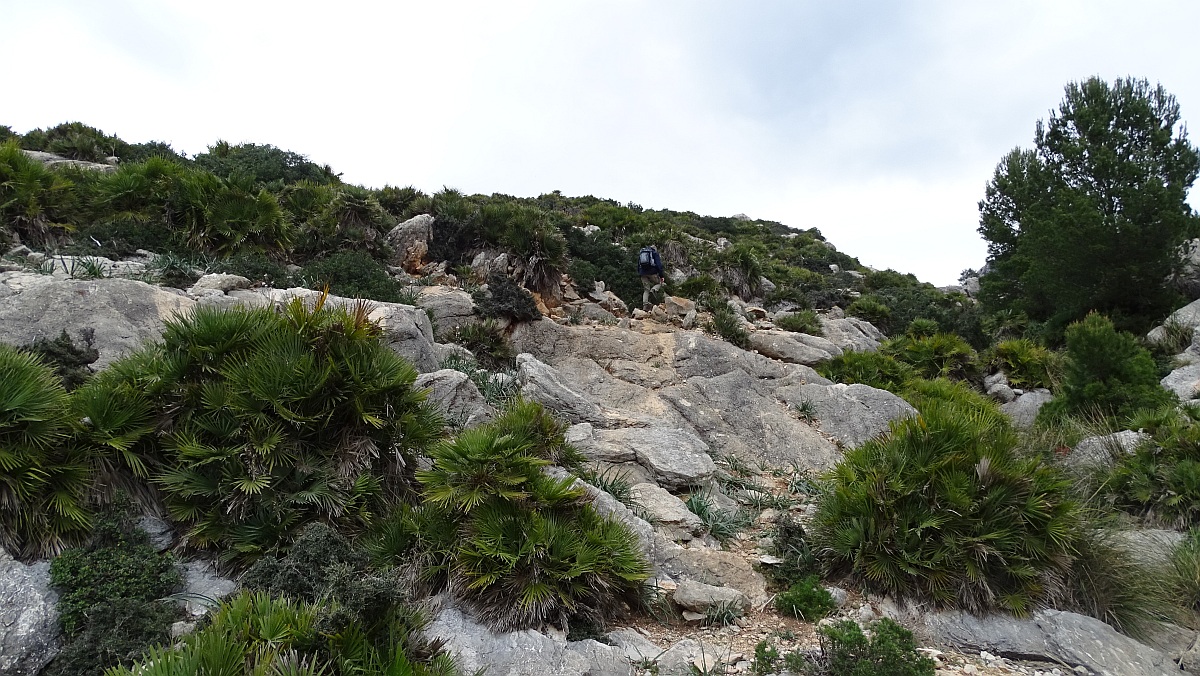 Felsbänder auf dem Weg zur Cala d'Egos