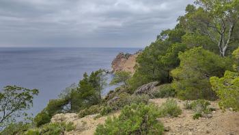 Küstenabschnitt auf dem Weg nach Sant Elm