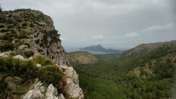 Aussicht zur Insel Dragonera