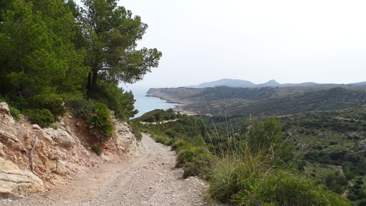 Weg zum Strand S’Arenalet des Verger