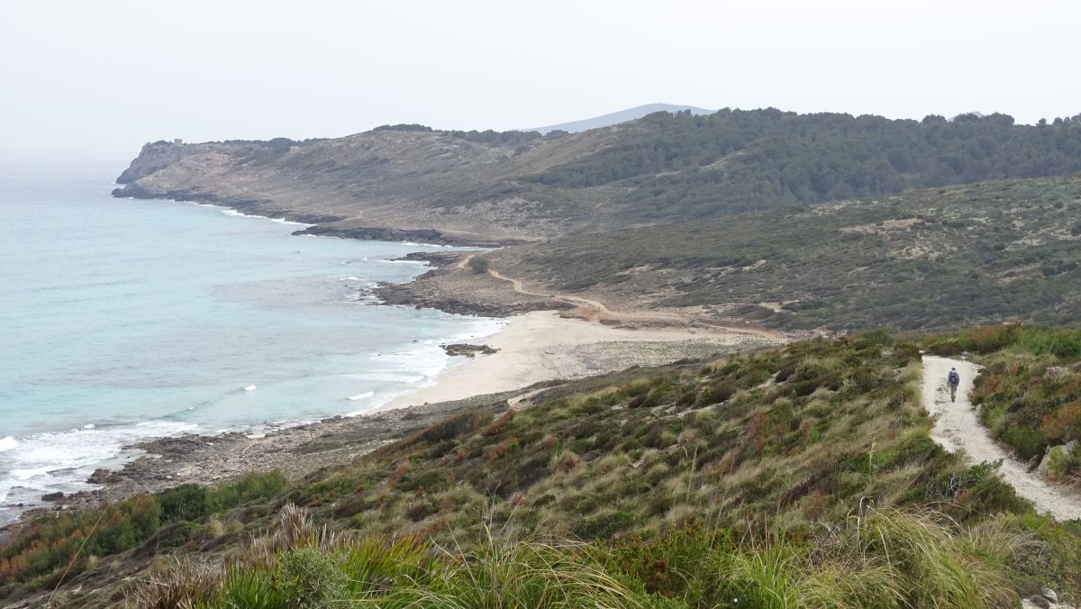 Weg zum Strand S’Arenalet des Verger