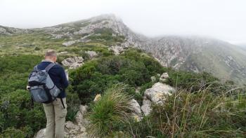 die Bergspitzen liegen leider in den Wolken