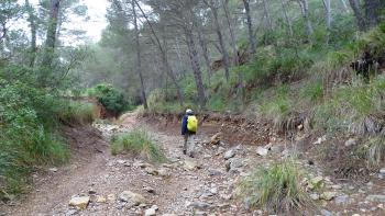 Weg zurück zur Ermita de la Victòria