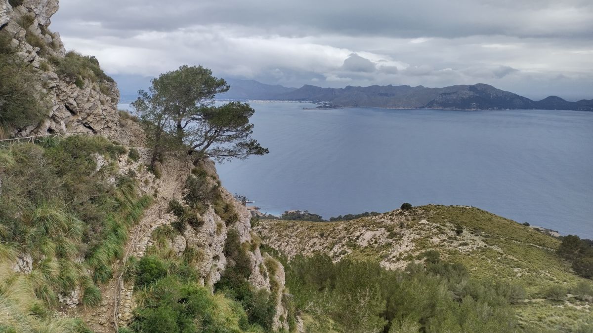 Badia de Pollença