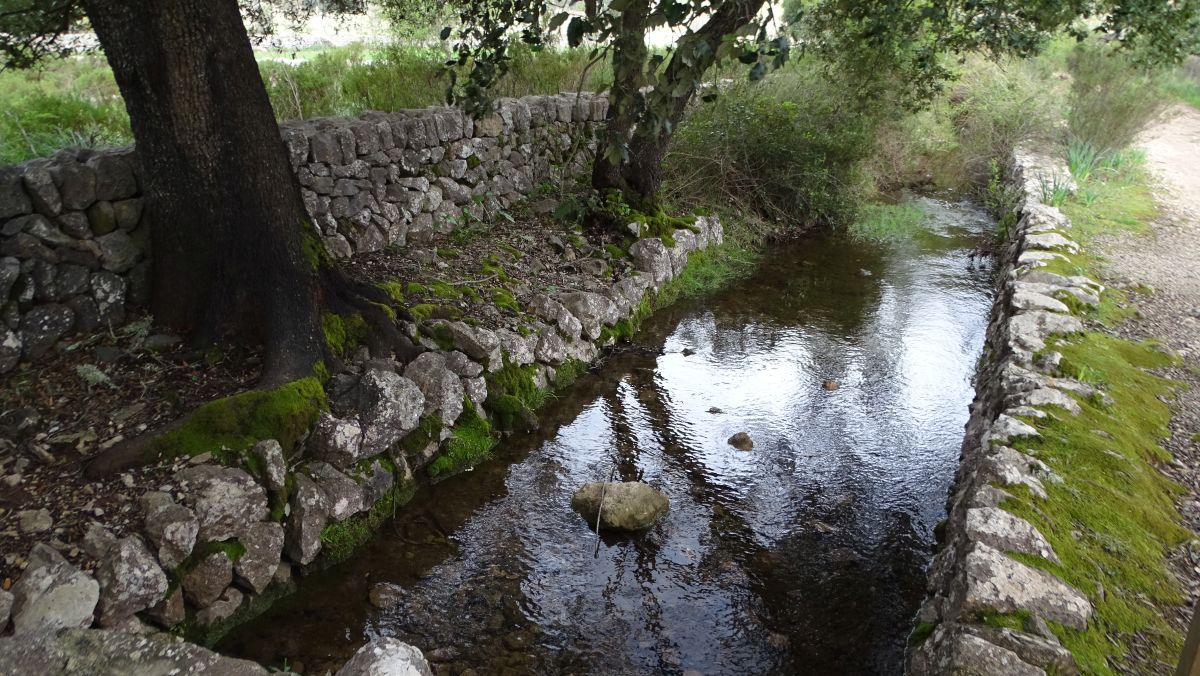 Torrent des Molí