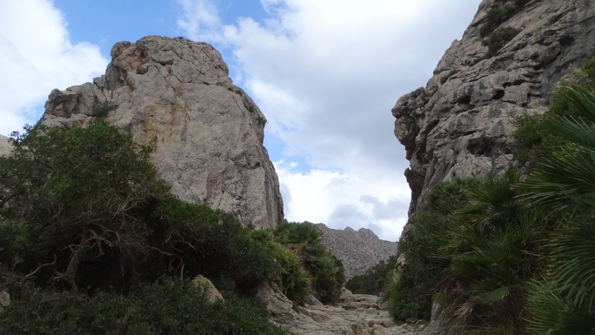 kleine "Schlucht"