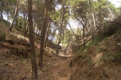 Wanderung zur Steilküste unterhalb des Torre Picada