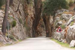 Straße hinunter nach Sa Calobra