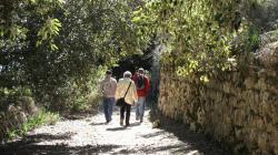 auf dem Pilgferweg Caimari zum Kloster Lluc