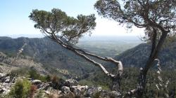 auf dem Pilgerweg Caimari zum Kloster Lluc