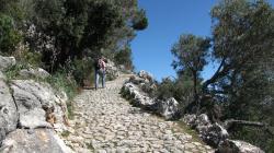 Weg zum Puig Maria