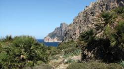 Küste zum Kap Formentor