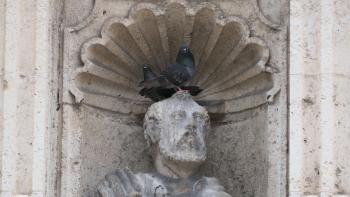 Taubenrastplatz