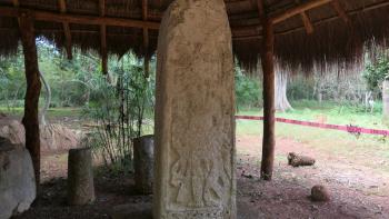 Stele