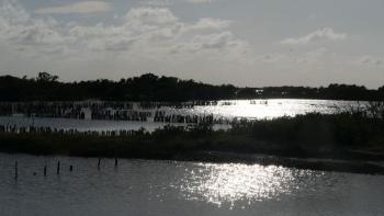 Saline an der Laguna Rosada