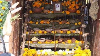 Tagetes darf nicht fehlen