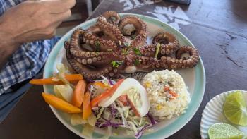 Mittagessen