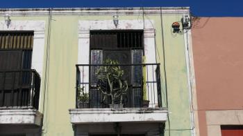 Balkonbepflanzung in Campeche, typisch mexikanisch