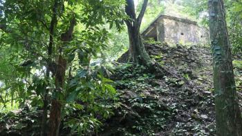 Templo olvidado mitten im Urwald