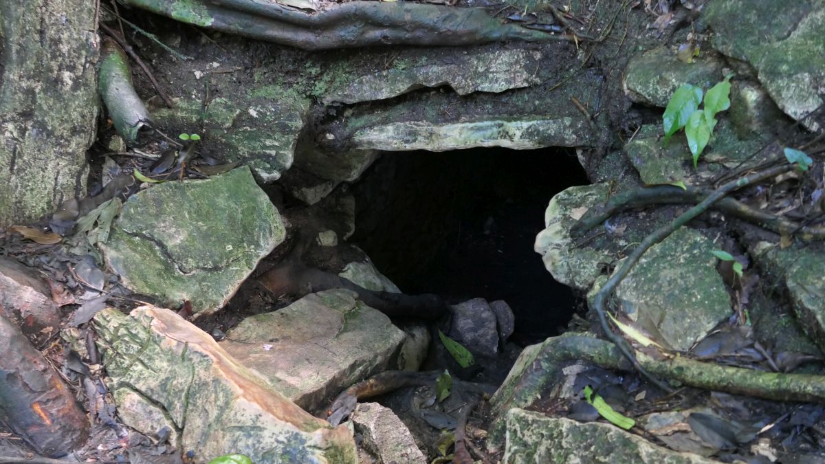 ein kleines Loch im Waldboden...