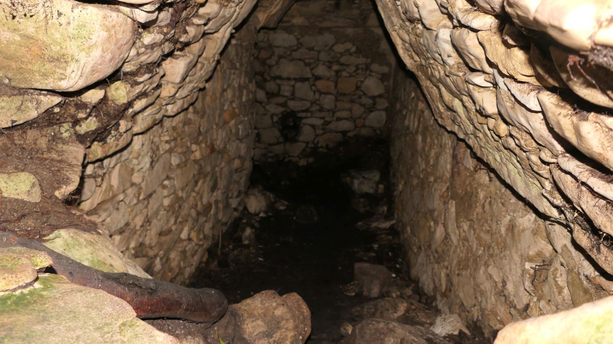 ...entpuppt sich als Maya-Bauwerk, zu sehen am Kraggewölbe