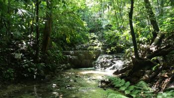 kleiner Wasserfall