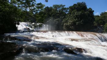 unterer Katarakt der Agua Azul Wasserfälle
