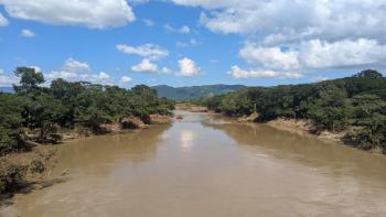 Rio Shumulja