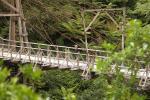 Tauranga Bridge