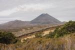 Tongario National Park